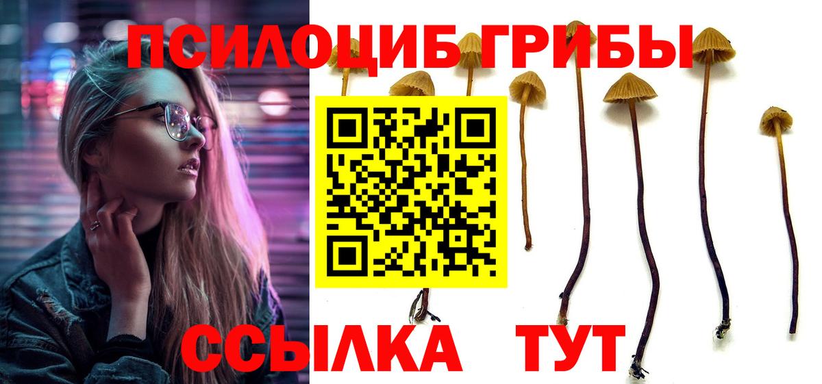Псилоцибиновые грибы ЛСД Черкесск