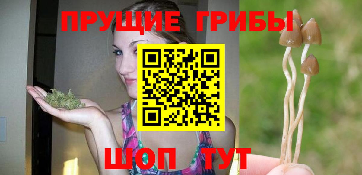 Галлюциногенные грибы Cubensis  Вход с VPN  Черкесск 